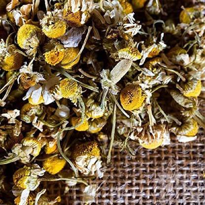 VibeX ® LXI-50 Chamomile Roman (Anthemis nobilis) Seed