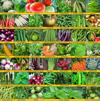 Vrisa Green 45 Varieties Vegetable Seeds Organic Seeds Combo Pack Seed
