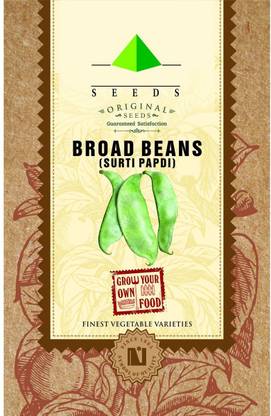 CYBEXIS Surti Papdi or Broad Bean Seeds 800 Seeds Seed