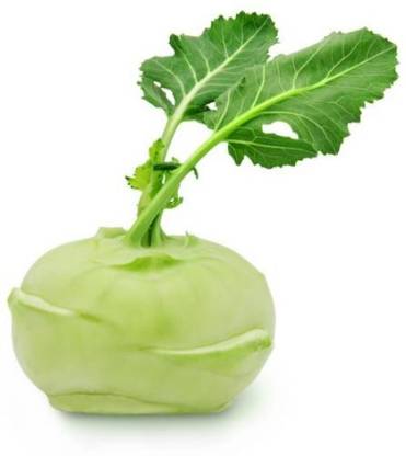DENWYK गांठ गोभी (Ganth Gobhi) Knol Khol Seed