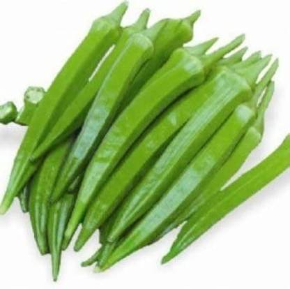 XOLDA Organic Okra Vegetable Seed