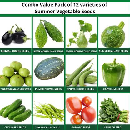 CYBEXIS Summer Vegetables Seeds Combo 12 Varieties Seed
