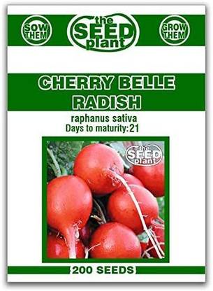VibeX XLL-35 - Cherry Belle Radish - (250 Seeds) Seed