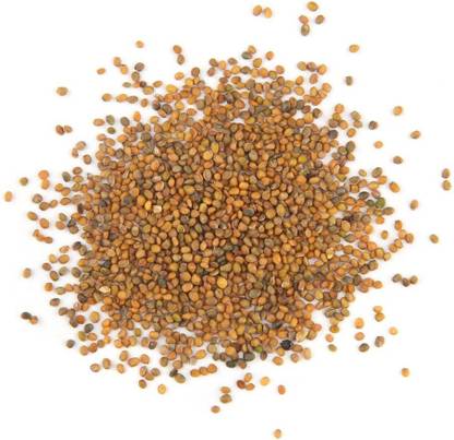 CYBEXIS ATS-84 - Wild Arugula - (250 Seeds) Seed