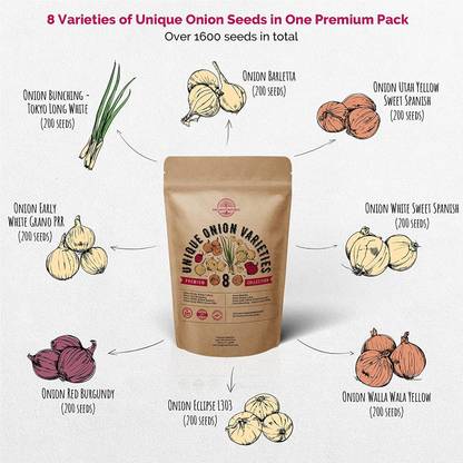 VibeX XL-97 - 8 Types Onion Variety Pack Combo - (1500 Seeds) Seed