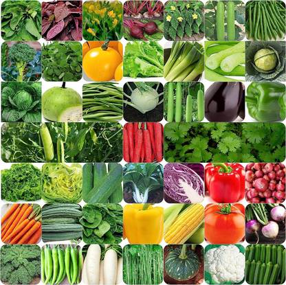 ACMS 45 Varieties of Vegetable Seeds 2500+ High Germination Seeds For Your Garden Seed