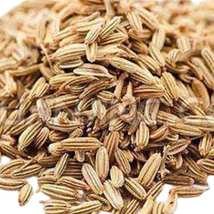 CYBEXIS Good Germination Fennel Seeds Fresh Non-GMO-350 Seeds Seed
