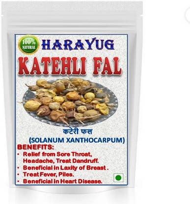 HARAYUG KATERI FRUIT - KATEHLI FAL - SOLANUM XANTHOCARPUM - BHATKATIYA - KANTAKARI Seed