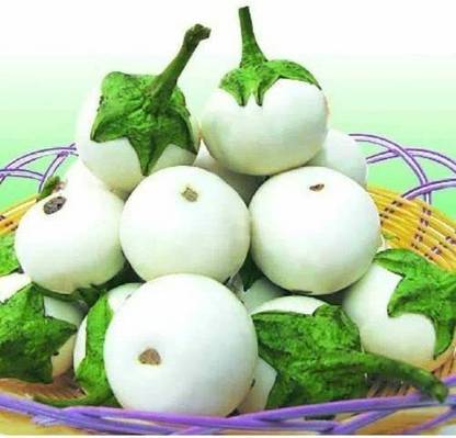 VibeX ® XXL-707 White Brinjal Easter Egg Seed