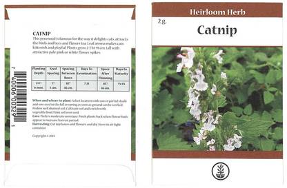 Biosnyg Catnip Herb Seeds[500 Seeds] Seed