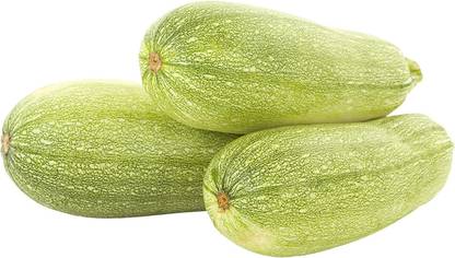 WILLVINE XLR-416 Grey Zucchini Squash Calabacita Seed