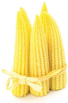 WILLVINE HAR -VI Baby Corn, Small Corns-[1Kg] Seed