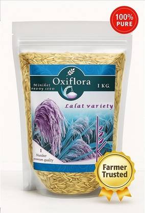 Oxiflora Pure Miniket Rice Lalat paddy Variety Seeds Seed