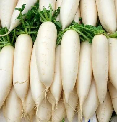 Avysa White Radish (Mooli) Vegetable (मूली के बीज) Seed