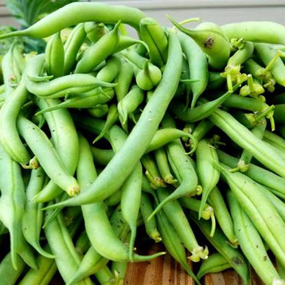 SREE Beans Vegetable seeds 100% Organic seeds Seed