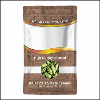 वाइबX पॉइंटेड लौकी के बीज / परमल[50 gm, 250 बीज] बीज