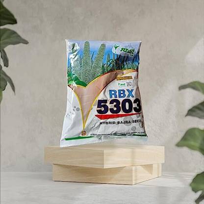 rasi RASI HYBRID BAJRA SEED 5303 (1.5KG) Seed
