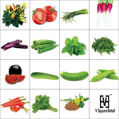 AloGardening Garden Hybrid Seeds ,15 Variety for your Kitchen Garden Vegetable Seed