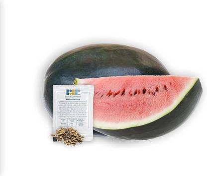 VibeX TLX-58 - Black Diamond Watermelon - (150 Seeds) Seed