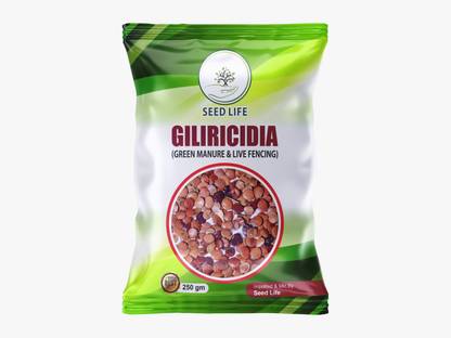 SeedLife Gliricidia Sepium Seeds 250G, Tree Seeds for Green Manure, Live Fencing Seed