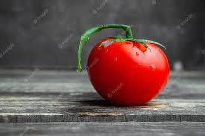 XOLDAA hybrid f1 quality tomato seeds Seed