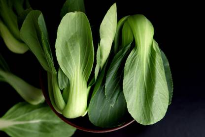 Quentova Feng Qing Pak Choi Seed