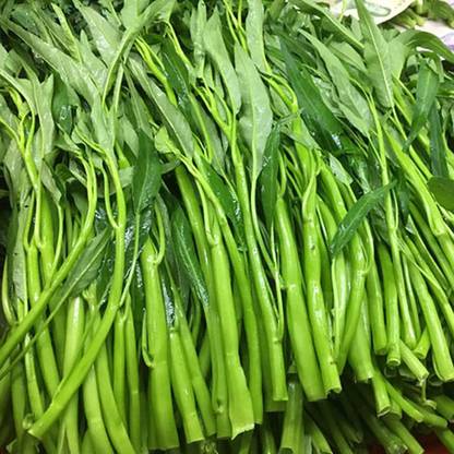 CYBEXIS Pak-Boong Morning Glory Water Spinach-500 Seeds Seed
