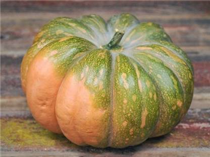 ErTh Pumpkin Desi - Green Seeds Seed