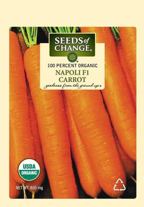 VibeX HUA-48 - Organic Napoli Carrot - (250 Seeds) Seed