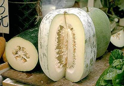 Aywal Ash Gourd (Mithai Petha) Vegetable Seed