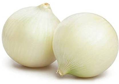 KANAYA Onion White Kanda Vegetable Seed