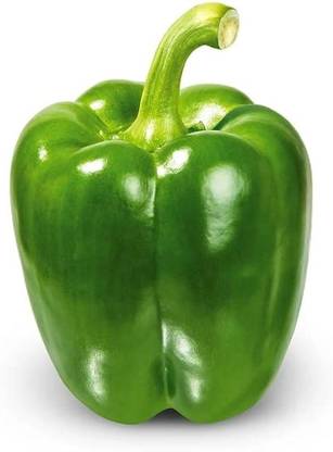 BDSresolve hybrid bell pepper seeds/capsicum seed 18 Seed