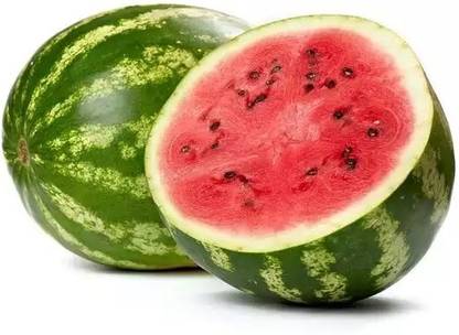 Farmonix Sweet and juicy watermelon fruit Seed