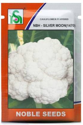 WILLVINE SYN -II Silver Moon (1470) NBH Gobhi Cauliflower[2.5g, 750 Seeds] Seed