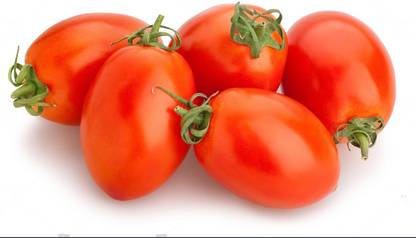 DHENU PRASAD 2246 F1 Hybrid Oval Long Tomato Seed