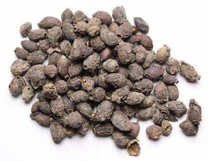 ayurrr JAMUN GUTHLI - JAAMUN SEEDS - SYZYGIUM CUMIN Seed