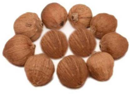 SHIVAKARI LAGHU NARIYAL Seed