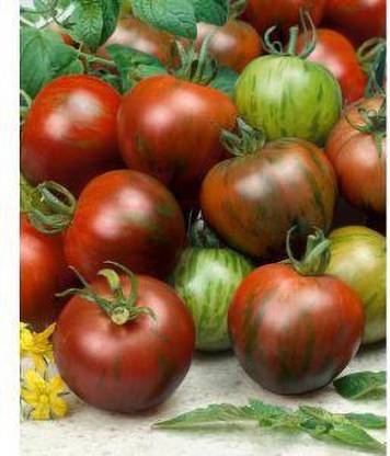Jevik Brandywine-Black-Tomato- Seed
