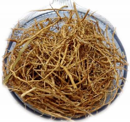 Elysian Enterprises Khas Root- Khus Jad - Ushira - Vetiver Roots Seed