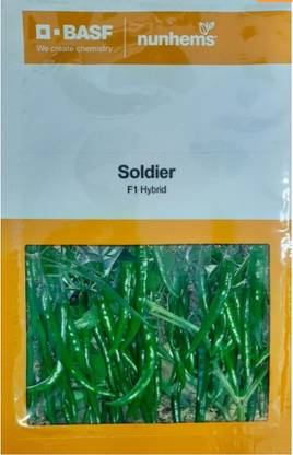 BASF NUNHEMS CHILLI SEED Seed