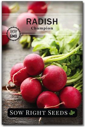 VibeX LX-30 - Champion Radish - (250 Seeds) Seed