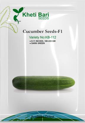 Khetibari Cucumber, 10 gm, KB-112, Seed