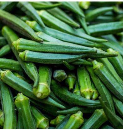 greenfarm NX- Long Okra Seeds/Bhindi Seeds /Best quality, 120 X Seeds ,WSQ38 Seed