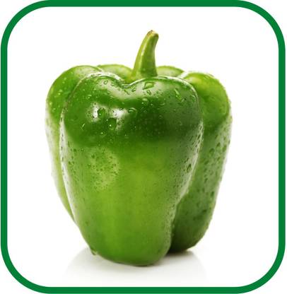 VibeX ATS-16 - Organic Natural Green Capsicum - (450 Seeds) Seed