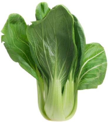 Atlus Pak Choi Green Ace Seed