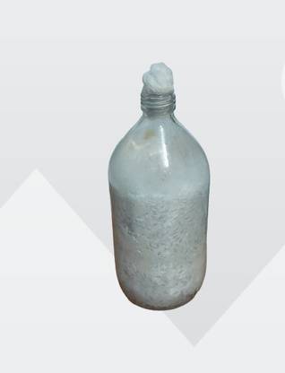 Jay White Oyster Mushroom Mother Spawn (Pleurotus florida) Seed