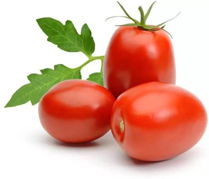 DHENU PRASAD 1024 F1 Hybrid Oval Long Tomato Seed