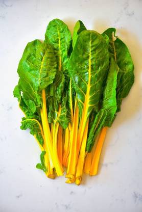 VibeX ® LXI-301 Silver Beet Spinach Rainbow Seed