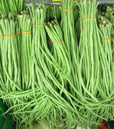CHILLATAI Long Variety Karamani Seeds | Long Variety Thatta Payaru Seed