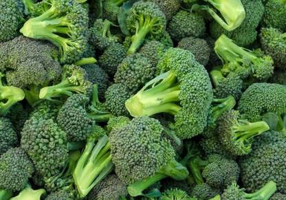 WILLVINE VMR -I Waltham Broccoli Seeds [10g] Seed